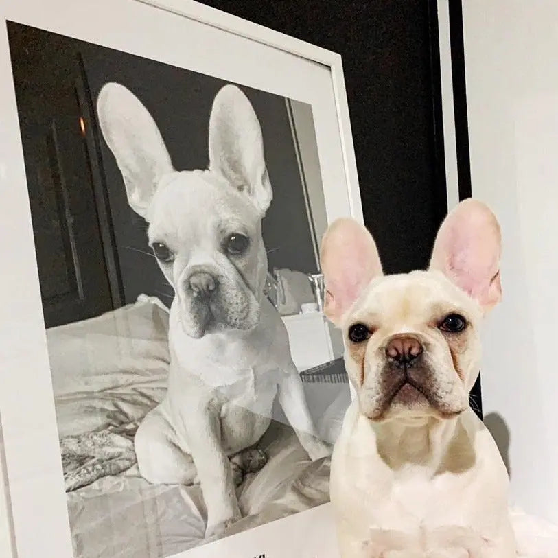 Kjæledyrportrett Fotokunst The Puppy Poster Norge