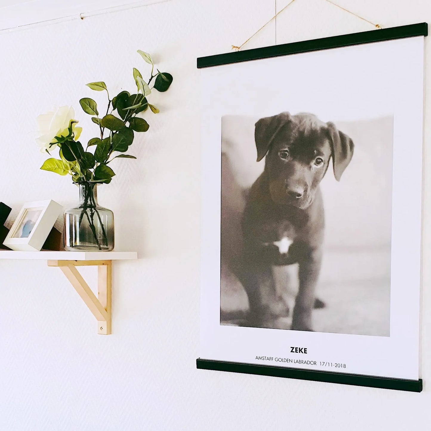 Kjæledyrportrett Fotokunst The Puppy Poster Norge