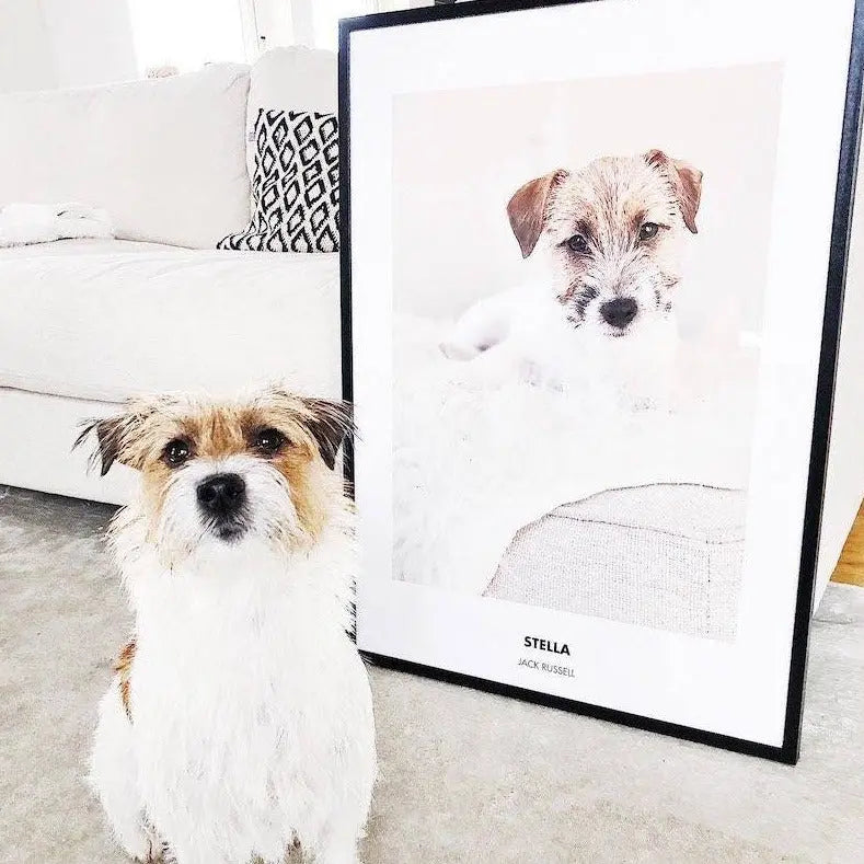 Kjæledyrportrett Fotokunst The Puppy Poster Norge