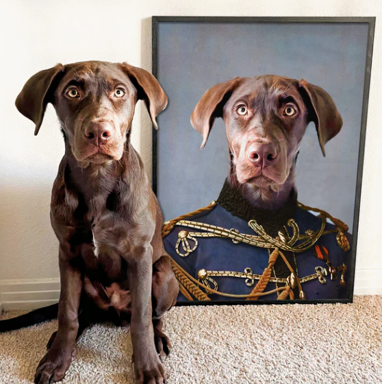 Kjæledyrportrett - Portrettet ditt